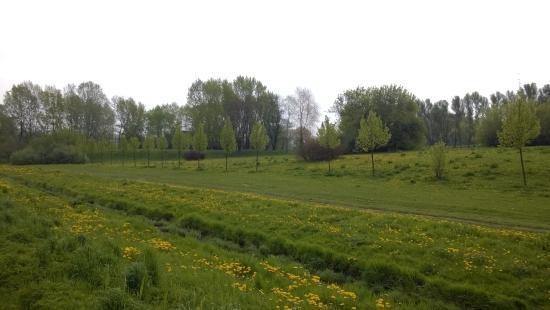 Park Dolina Sluzewiecka